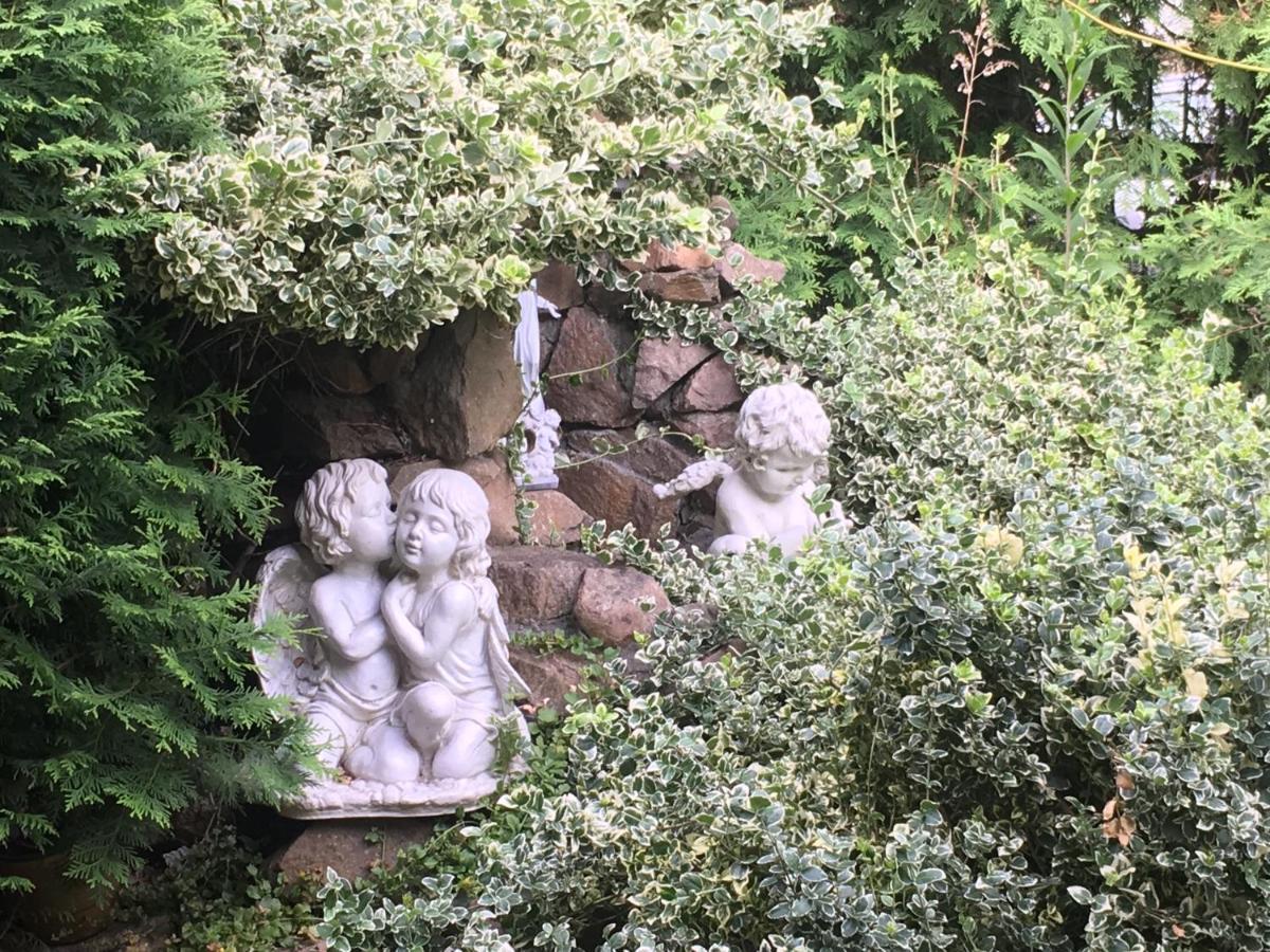 Cracow. Villa Cherubin Garden 克拉科夫 外观 照片